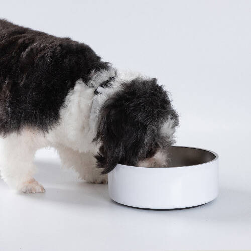 Ciotola per cani in acciaio inossidabile 1250 ml per sublimazione - bianca
