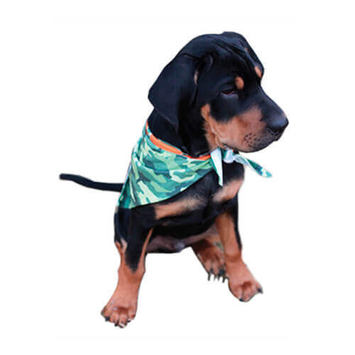 Bandana per cane per sublimazione