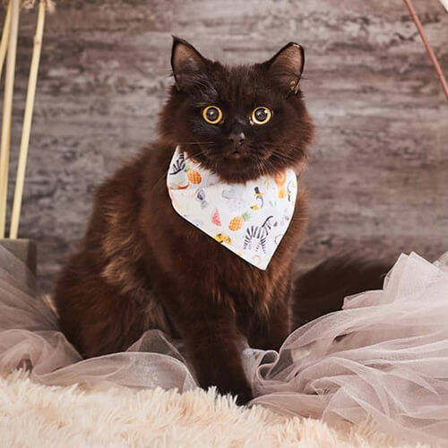 Bandana animale per sublimazione