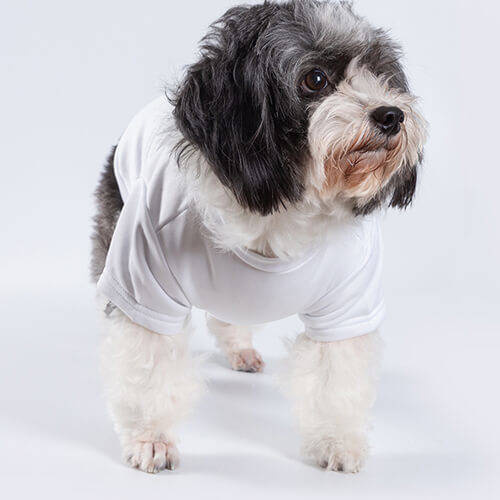 T-shirt per cane per sublimazione