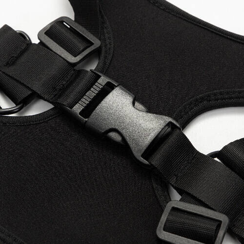 Bretelle per animali domestici per la sublimazione