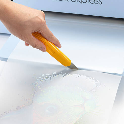 Pellicola di stampa DTF OtterPro 42 cm x 100 m