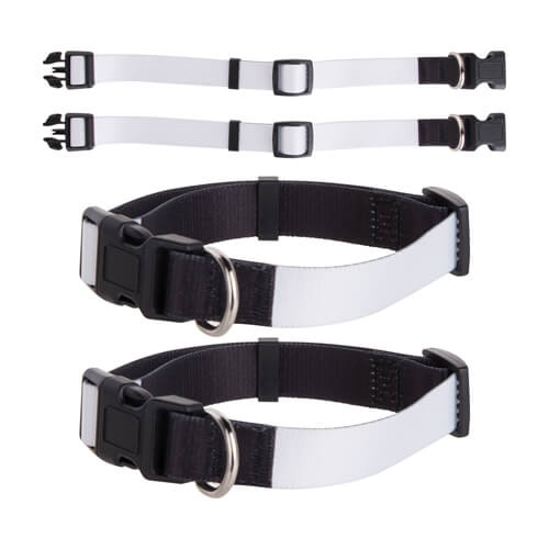Set di 4 collari per cani a sublimazione