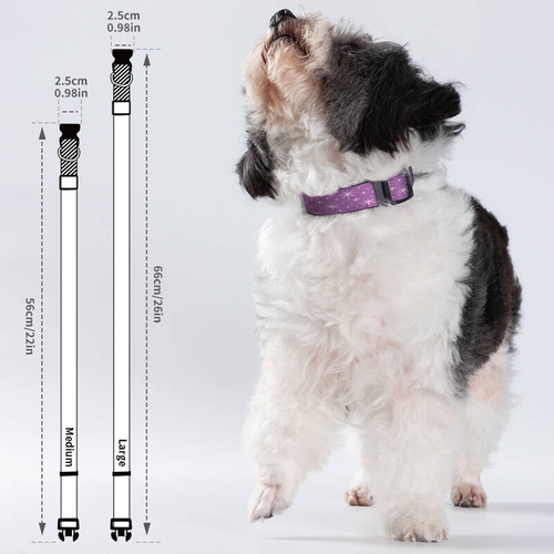 Set di 4 collari per cani 56 x 2,5 cm stampabili