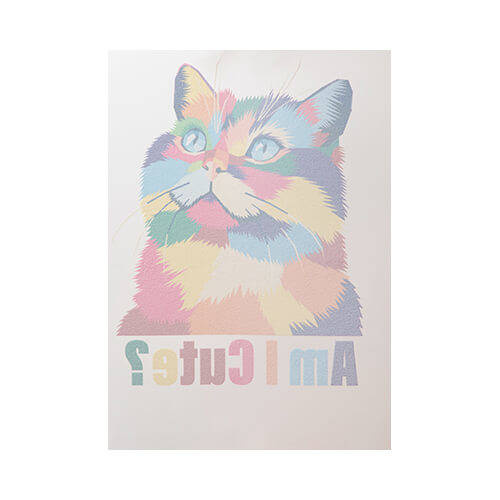 Pellicola per stampa DTF A4 - 100 fogli